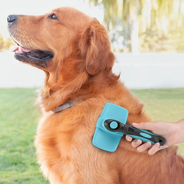 ČISTÍCÍ KARTÁČ NA DOMÁCÍ MAZLÍČKY SE ZATAHOVACÍMI ZUBY GROOMBOT INNOVAGOODS (V0103209)