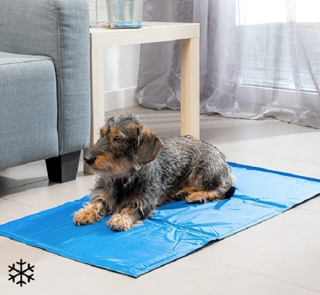 Chladivý kobereček pro domácí zvířata innovagoods (90x50cm) (VO100923)