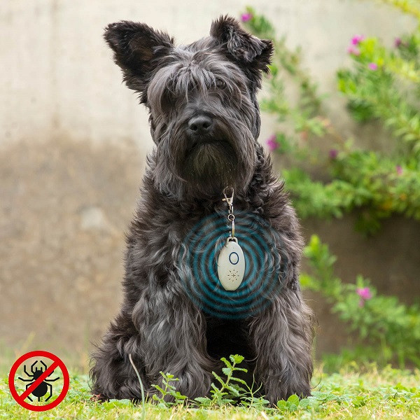 Ultrazvukový dobíjecí přístroj proti parazitům pro domácí mazlíčky Petrep Innovagoods (V0103219)