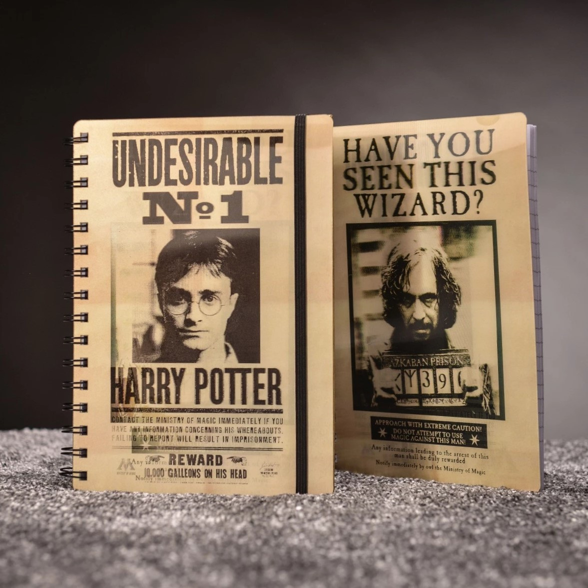 Zápisník Harry Potter - Sirius & Harry 3D