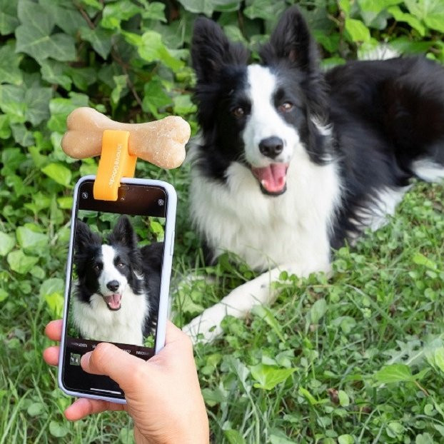 Selfie klip pro domácí mazlíčky Pefie Innovagoods (V0103357)