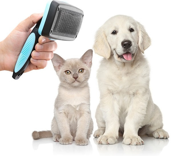 ČISTÍCÍ KARTÁČ NA DOMÁCÍ MAZLÍČKY SE ZATAHOVACÍMI ZUBY GROOMBOT INNOVAGOODS (V0103209)