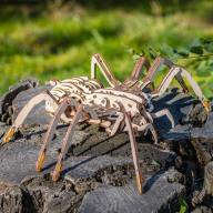 Dřevěný skládací 3D model - Spider