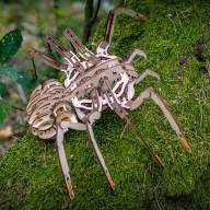 Dřevěný skládací 3D model - Spider